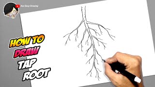 How to draw Tap Root [upl. by Renraw]