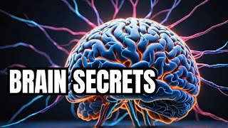 Unraveling the Brain Human Nervous System Part 2  Everything You Need [upl. by Rosner364]