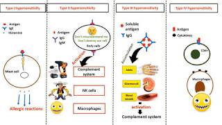 Hypersensitivity types in 4 minutes [upl. by Aineval]