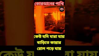 কেউ যদি মারা যায় বাড়িতে কান্নার রোল পড়ে যায়  allama delwar hussain saidi waz দেলোয়ারহোসাইনসাঈদী [upl. by Feil]