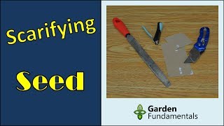 Seed Scarification Speeds up Germination compare methods [upl. by Nhepets39]