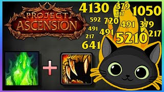 Uncapped AOE On a FireCat Build Project Ascension  Season 9 [upl. by Eelra742]