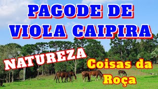 PAGODÃO DE VIOLA CAIPIRA  UMA VIAGEM PELAS ESTRADAS DE CHÃO COM MUITA NATUREZA E COISAS DA ROÇA [upl. by Dubois]