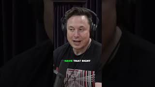 Elon Musks quotThree Layered Brainquot with Neuralink jreclips jrefans joerogan [upl. by Seltzer]