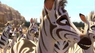 Khumba Trailer  Official SA Trailer [upl. by Enelhtak]