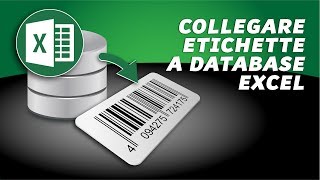 Nice Label tutorial come collegare un database Excel alletichetta [upl. by Alwin404]