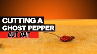 Cutting a Ghost Pepper [upl. by Eizeerb]