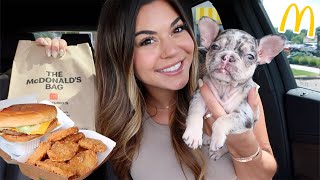 McDonalds Mukbang with my new PUPPY QampA [upl. by Nawek]