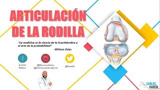 Anatomía  Articulación de la Rodilla Medios de Unión Ligamentos Vasos y Nervios [upl. by Enneyehs]