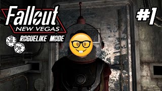 Fallout New Vegas but its a ROGUELIKE 1 [upl. by Bruis983]