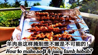 【新疆羊肉串】腌羊肉串加入这三样东西想不嫩是不可能的！新手必看：从如何切肉到穿串、腌制再到烤制全部讲清楚（内附烤箱烤制方法 Chinese Lamb Kebab RecipeEng Sub [upl. by Hesketh]