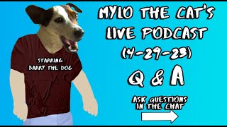 Mylo the Cats Live Podcast Apr 29 2023 [upl. by Essirehc343]