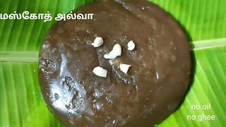 Muscoth halwa recipe in tamil  மஸ்கோத் அல்வா 👌 [upl. by Kall415]