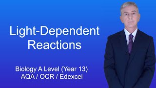 A Level Biology Revision Year 13 quotThe LightDependent Reactionsquot [upl. by Ietta]