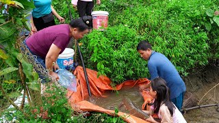 Fish Pond Renovation Fish Harvesting and Selling Lunch with Daughter  Family Farm [upl. by Dudden]