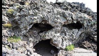 Lava Cast Forest  Newberry National Volcanic Monument [upl. by Aisak]