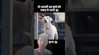 White dog dog humanity doglover video shortsvideo [upl. by Artkele]