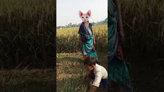 Gola mala cat music tamil song shortsfeed funny cartoondikhao [upl. by Ibbetson982]