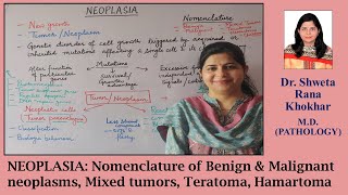 NEOPLASIA Nomenclature of Benign amp Malignant neoplasms Mixed tumors Teratoma Hamartoma [upl. by Kreindler]