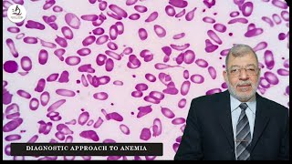 Episode 1 Diagnostic approach to Anaemia [upl. by Cuhp258]