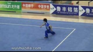 Wang Fei SND  MChangquan 11th All China Games [upl. by Froma]