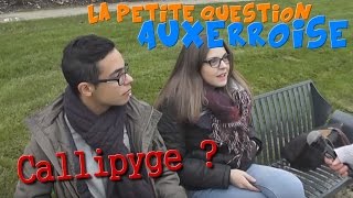 Que veut dire Callipyge   La petite question Auxerroise [upl. by Nil635]