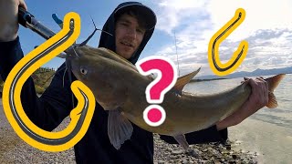 Does Hook Size Really Matter Channel Catfishing [upl. by Natelson621]