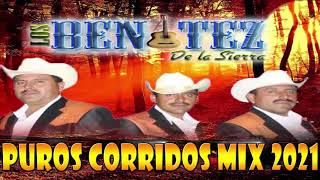 Los Benitez Dela Sierra  Puros Corridos Mejores Exitos [upl. by Tisbe]