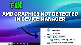 How to Fix AMD Graphics Card Not Detected in Device Manager [upl. by Suk142]