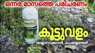 പൊളിഞ്ഞു കിടന്ന ഏലത്തോട്ടത്തിൽ ഒന്നര മാസംകൊണ്ട് സംഭവിച്ചത്  Cardamom Farming malayalam [upl. by Stevana798]