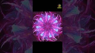 Sahasrara Activation Awaken Your Spiritual Awareness amp Unity [upl. by Koy]