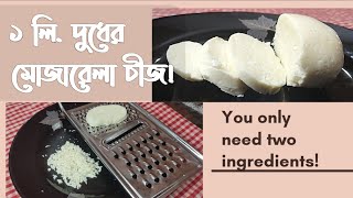 Mozzarella Cheese Recipe Bangla  How To Make Mozzarella Cheese Without Rennet  মোজারেলা চীজ রেসিপি [upl. by Yorztif]