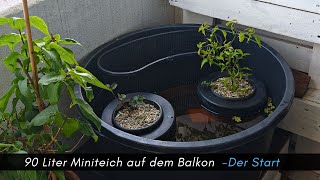 Von der Mörtelwanne zum Miniteich 20 90 Liter Miniteich auf dem Balkon Der Start aquaristik [upl. by Will]