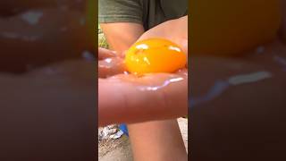 Why Was This Inside of This Chicken Egg chickenegg [upl. by Cyd]