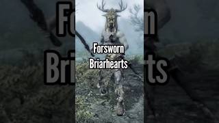 Forsworn Briarhearts  Elder Scrolls Facts elderscrolls elderscrollsfacts elderscrollslore [upl. by Tol]