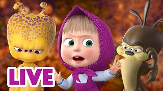 🔴 EN DIRECT 🐻👱🏻‍♀️ Masha et Miсhka ✨ Halloween avec des extraterrestres 🎃👽 Masha and the Bear [upl. by Yoral]