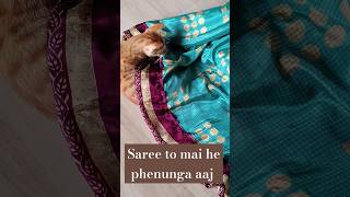 Mumma ki saree ke sath masti karte hue jerry 😂subscribe saree share cat funny viral tranding [upl. by Yramesor]