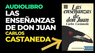 AUDIOLIBRO ENSEÑANZAS DE DON JUAN  Carlos Castaneda Audiobook Completo en Español [upl. by Yrtnej]