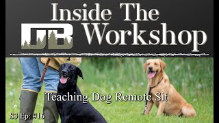 Teaching Dog Remote Sit  Ep 16 [upl. by Leina398]