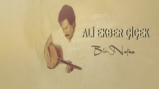 Ali Ekber Çiçek Oğul [upl. by Darleen182]