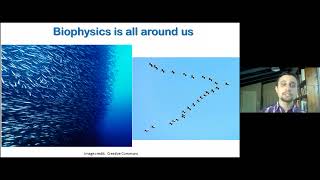 Introduction to Biophysics 12 [upl. by Nairadal]