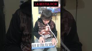 Patricio Rey y sus Redonditos de Ricota La bestia pop Ya nadie va a escuchar tu remera Melódica [upl. by Oirramaj110]