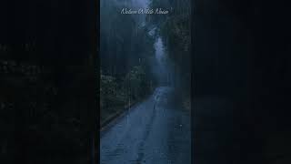 RAIN on the Night Road sleep rain rainsounds relax nature shorts rainstoundforsleep [upl. by Zoba945]