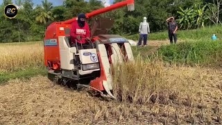 Mini harvester in India I Kubota harvest I Mini harvester [upl. by Godfree]