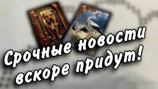 🕊️Скорые НОВОСТИ 🌪️ В ПУТИ От кого [upl. by Sacram376]