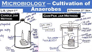 Cultivation of Anaerobes in Microbiology in hindi  L9 Unit1  B Pharma 3rd sem  Carewell Pharma [upl. by Eiduam]