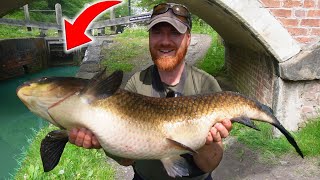 I Just Caught A Canal GIANT New PB [upl. by Relyt]