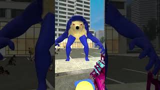 NEW EVOLUTION OF ZOOCHOSIS THE SONIC TAPES in Garrys Mod [upl. by Benis]