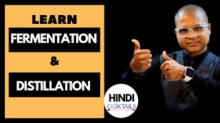 What is Distillation amp fermentation Hindi  क्या है Fermentation amp Distillation सरल भाषा में जानिए [upl. by Jonathon]