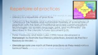 Literacy or Literacies [upl. by Nana]